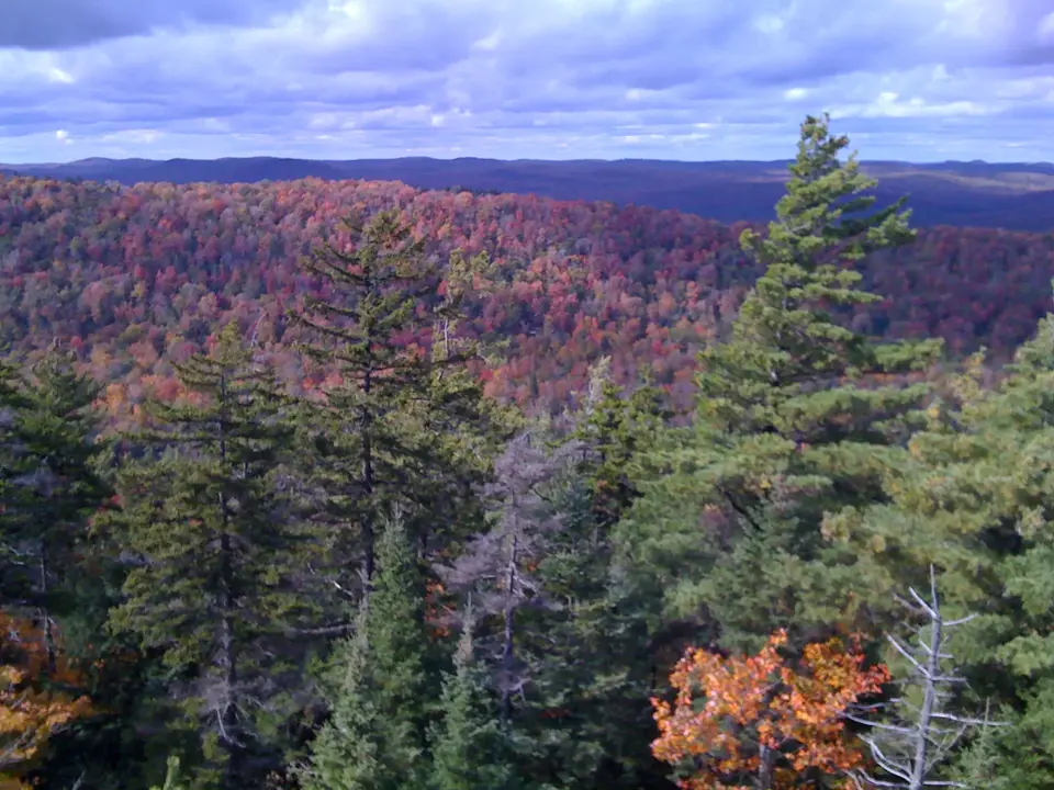 Herkimer County