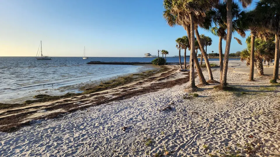 Pinellas County