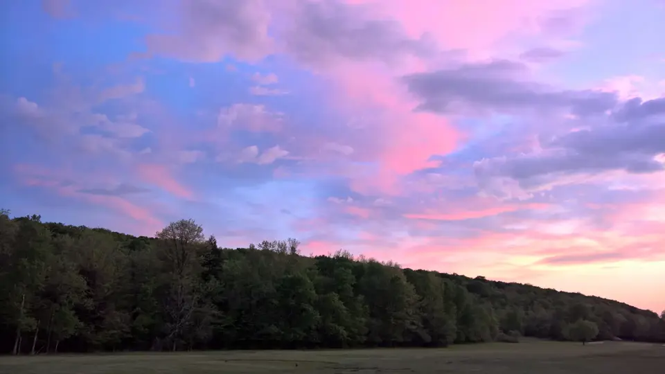 Oneida County